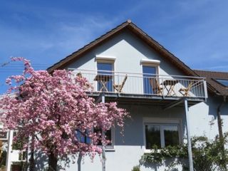 Ferienwohnung Pleisweiler-Oberhofen Das blaue Haus immagine 1